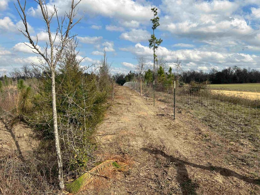 Agricultural fencing in Chipley, Florida