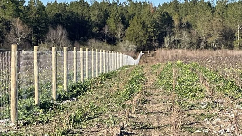 Fencing Project