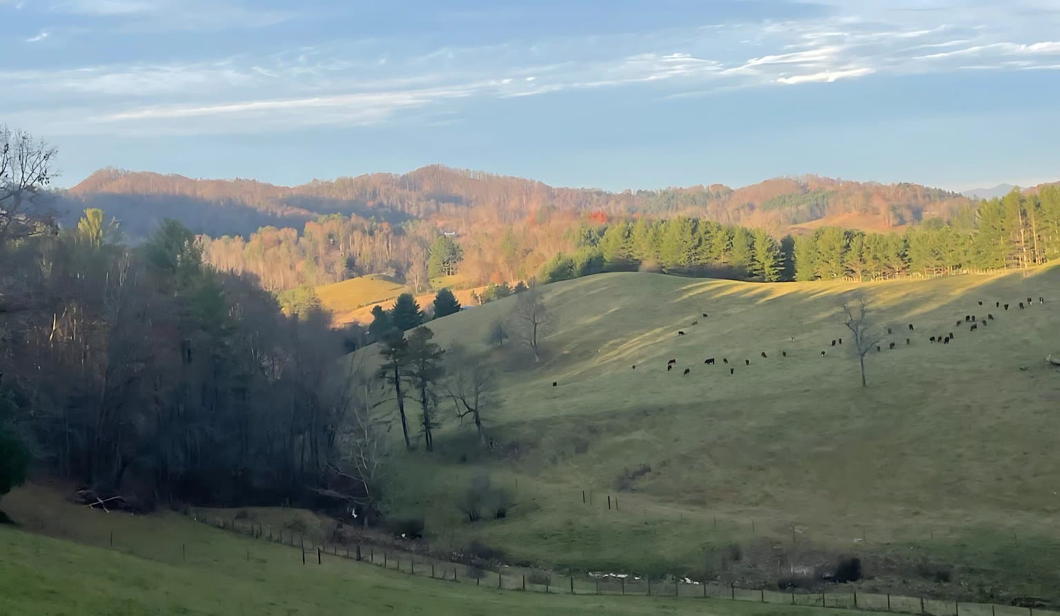 Professional fence installation in Johnson City, TN