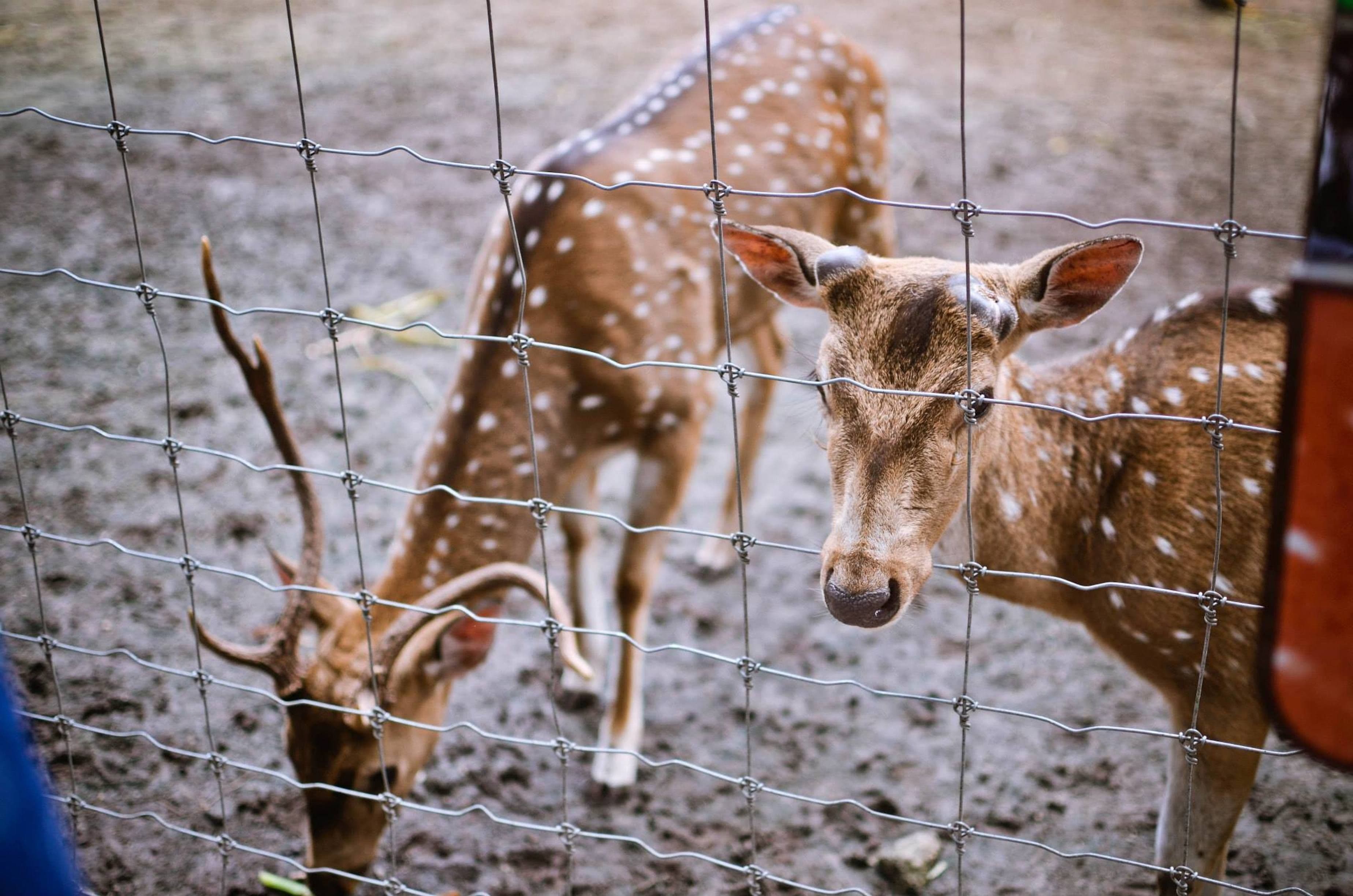 Why Choose Us Background