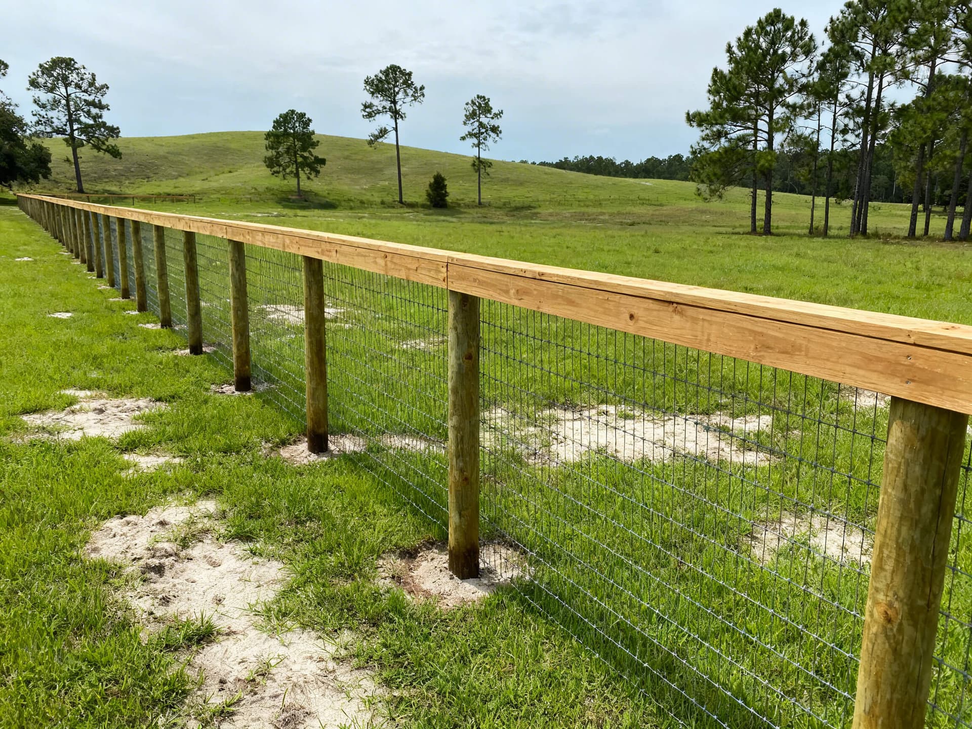 Hyper-realistic photo of a hybrid wood and wire mesh farm fence in South Alabama, showing sturdy wood posts and a top board with wire mesh, set along a green pasture under bright skies, perfect for a livestock fencing company website.