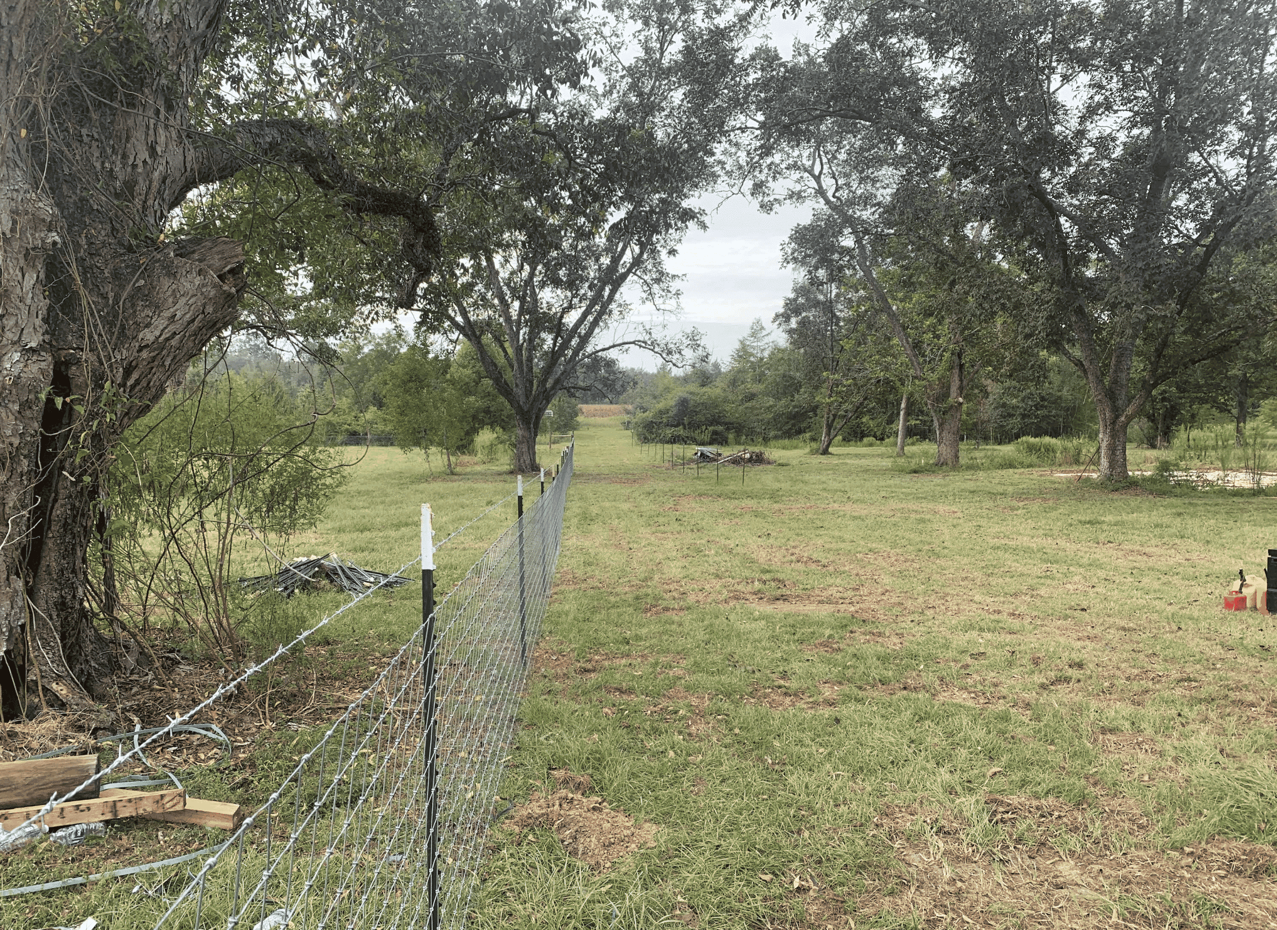 Why Choose Us Background