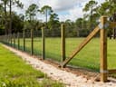 Escape Proof Goat Fencing: A Complete Guide