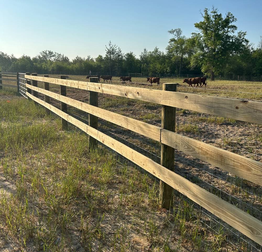 Farm fence and 3 board wood fence