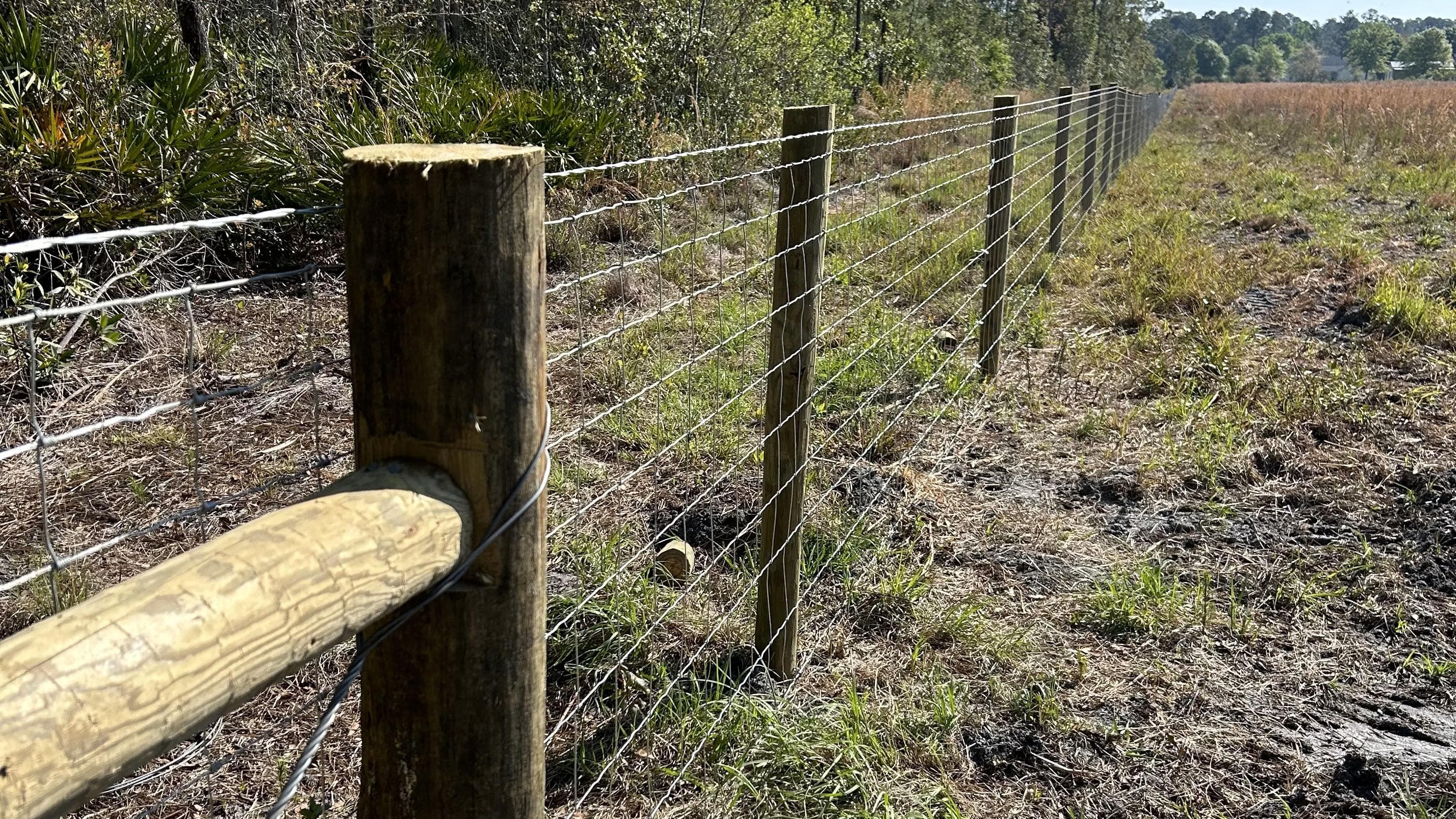 barbwire fence raw land to ranch