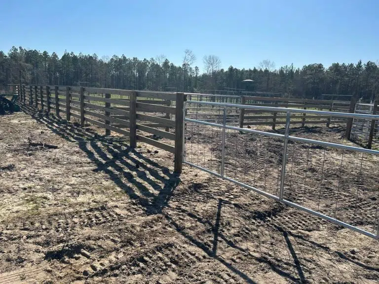 Farm fence and cow pens