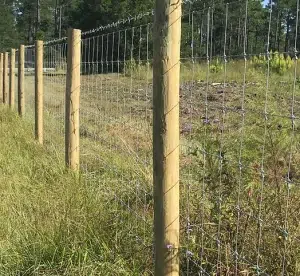 A 6ft Tall Wire Farm Privacy Fence Repair with Barb Wire on the top