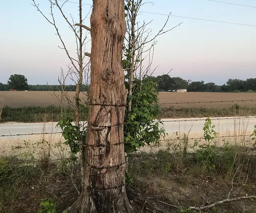 fence repair