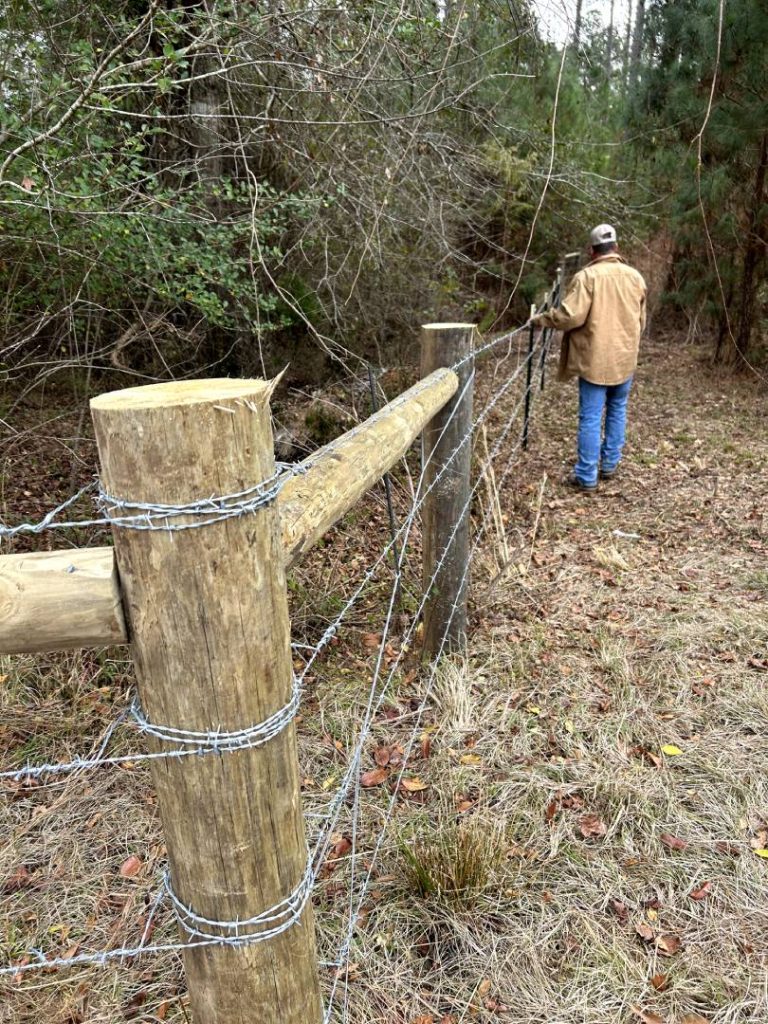 Field fence and pressure treated posts