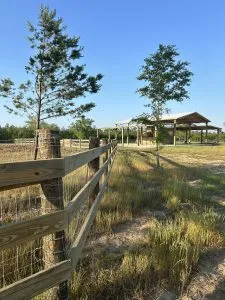 Three Board Fence on Farm In Florida