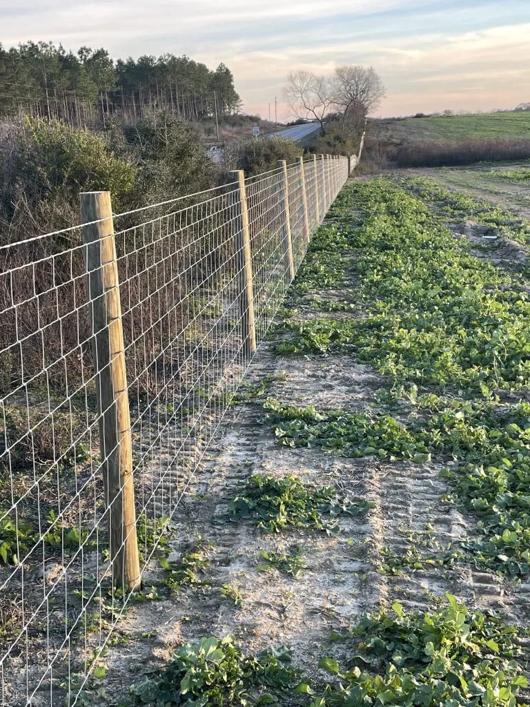 Agricultural fencing of a long beautiful new farm fence