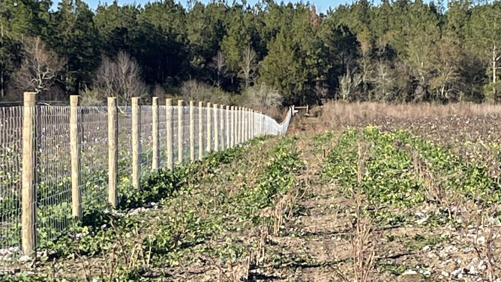 agricultural fence installation
