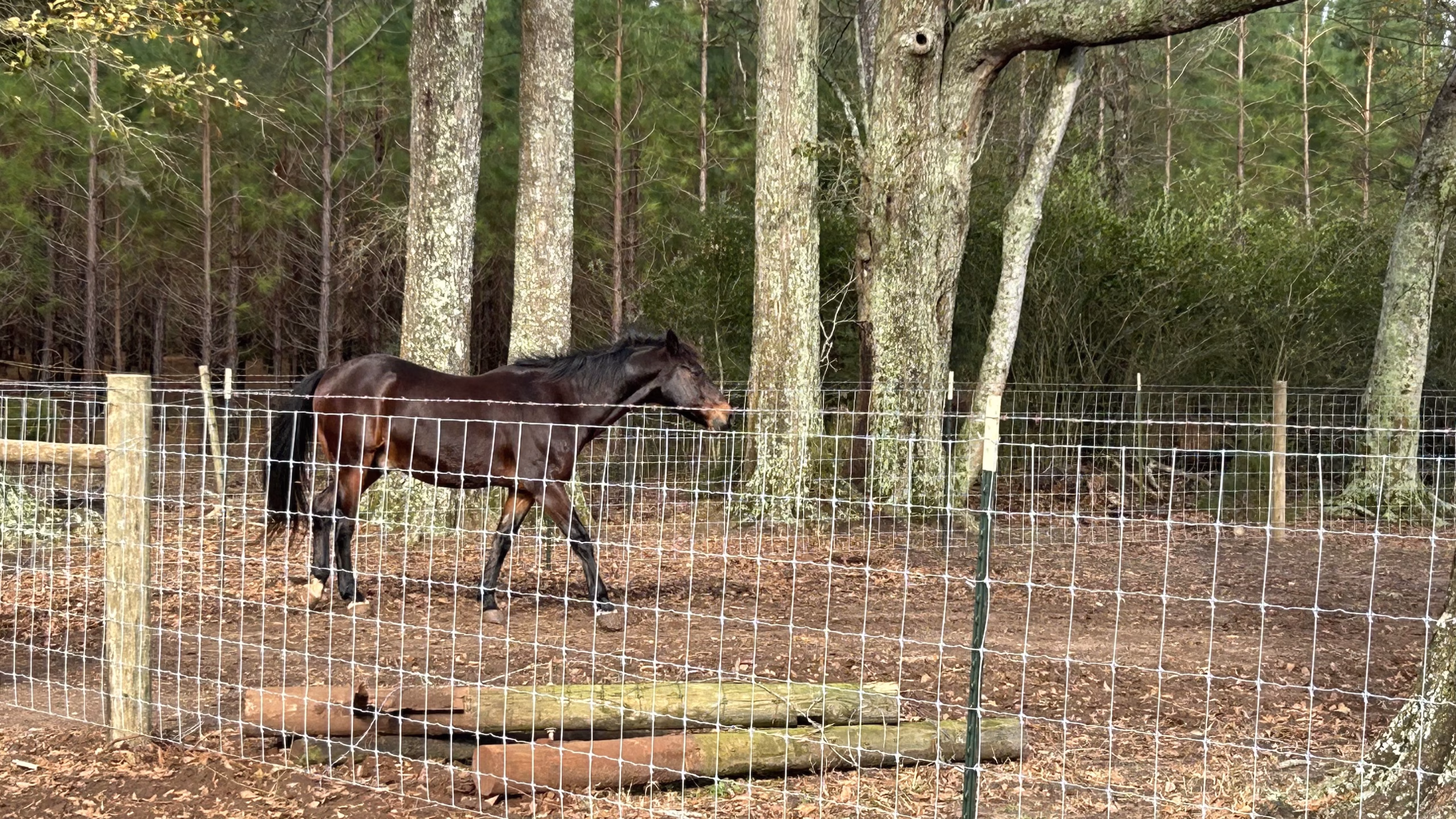 agricultural fence in bonifay
