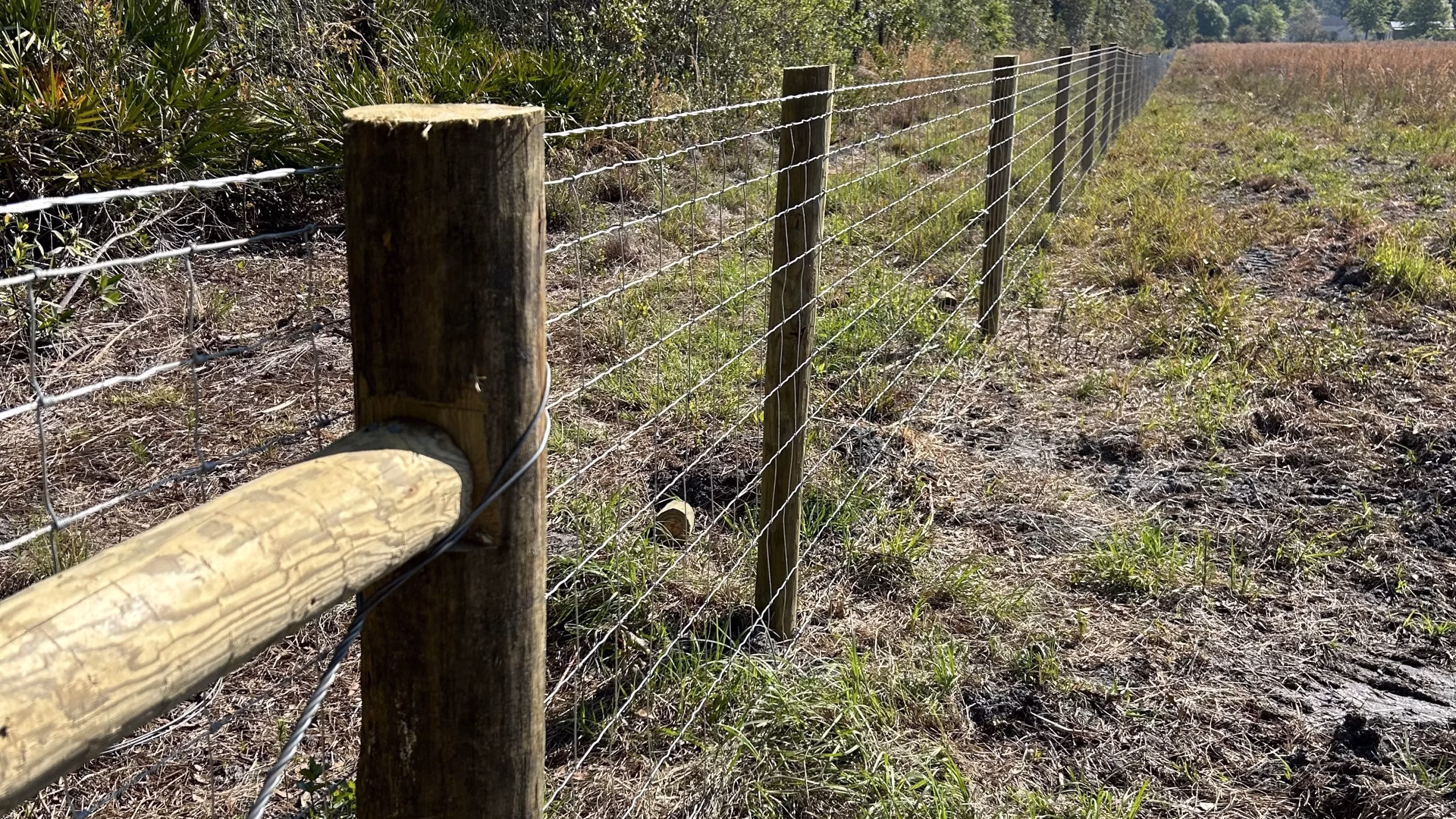Durable Barb-Wire Fence Installation