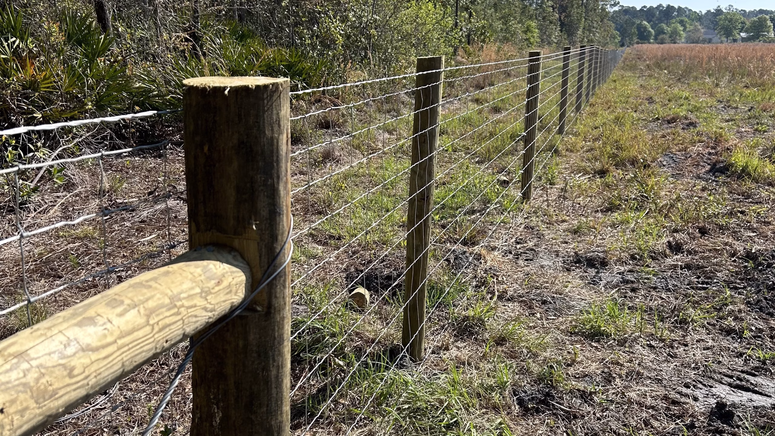 Farm Security and farm fence