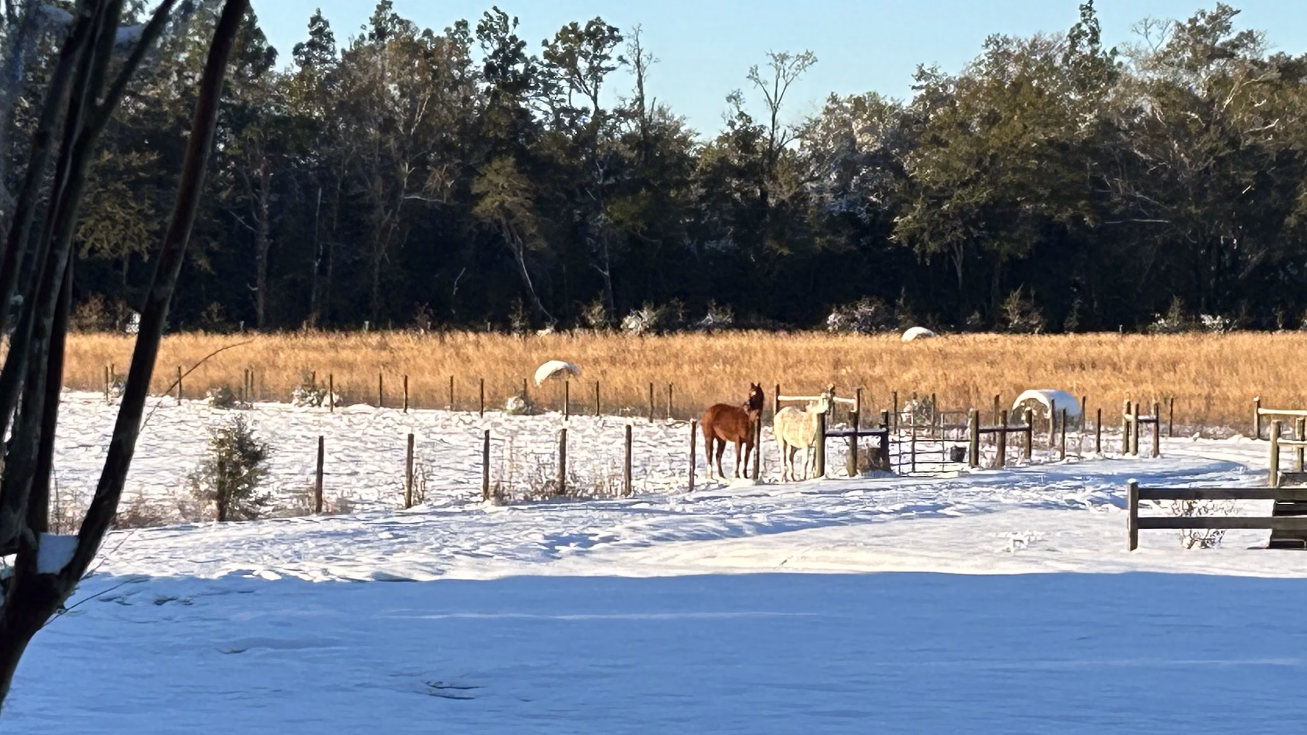 Farm fence contractor and farm