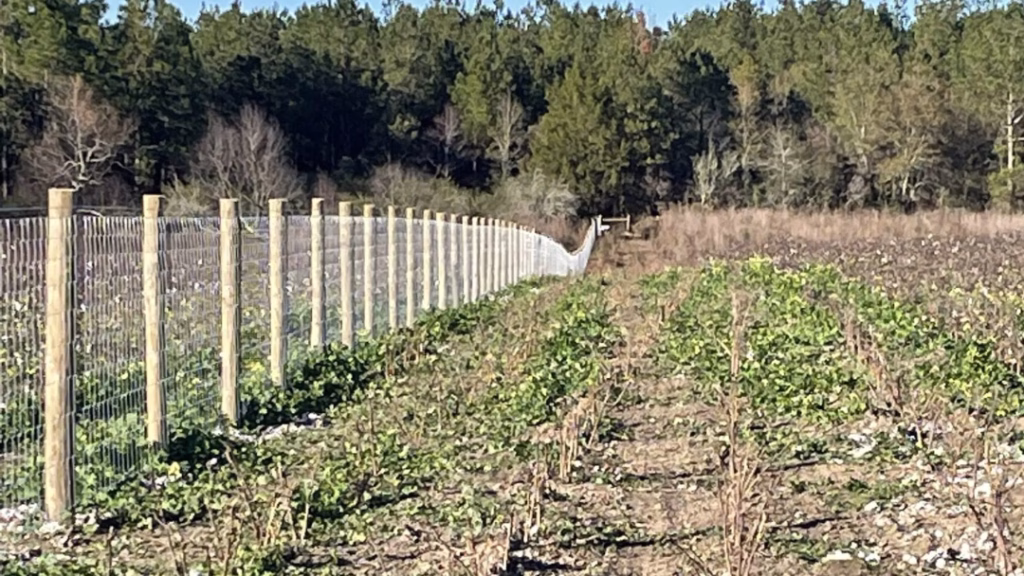 Agricultural Fencing Florida