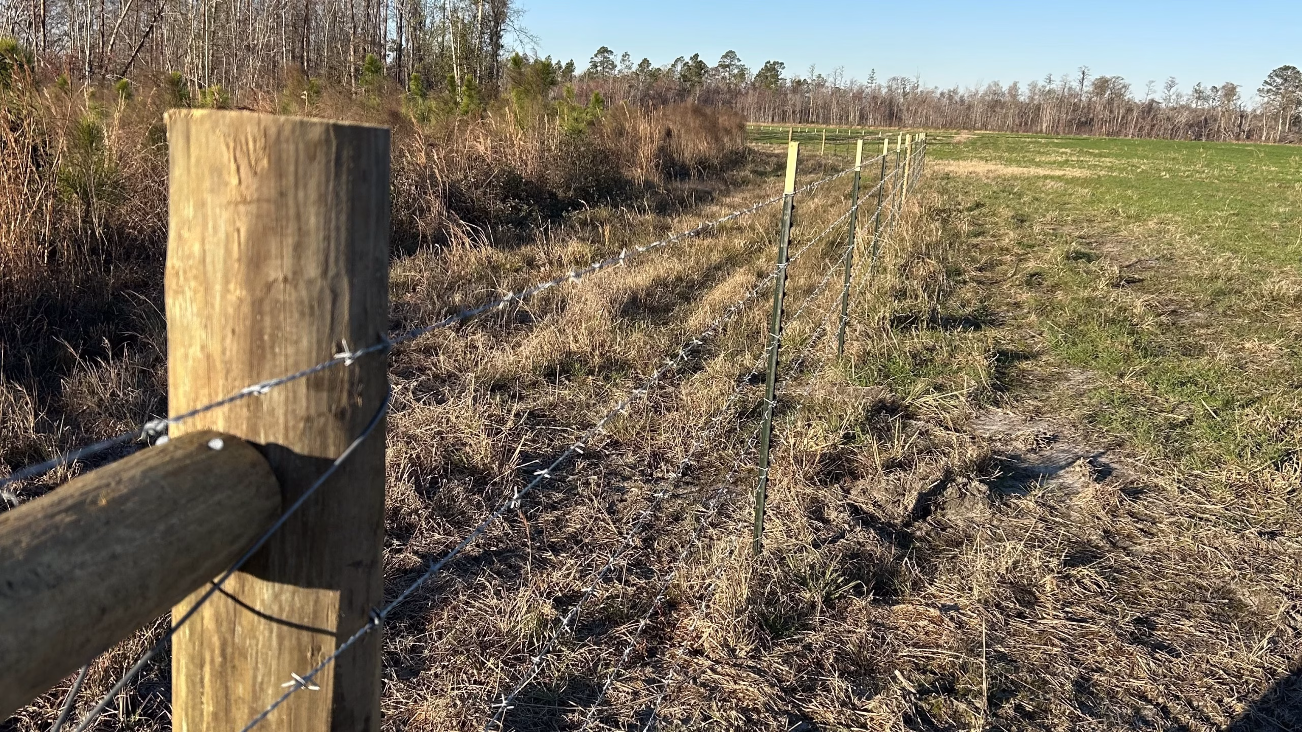 Farm and livestock fence
