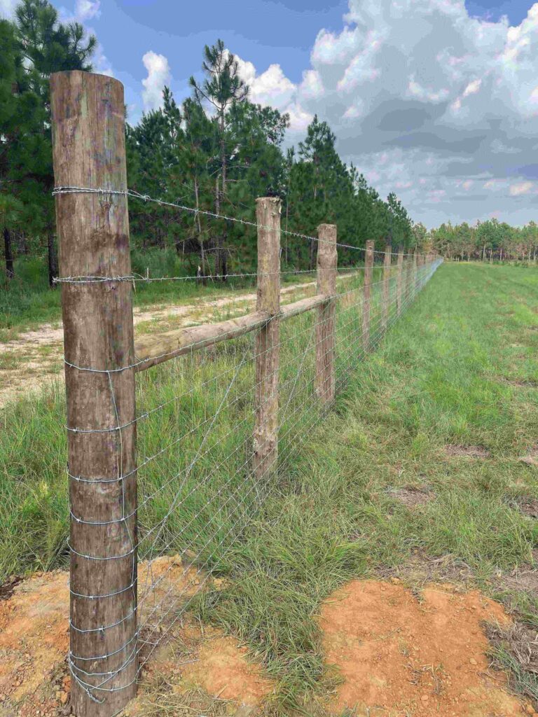 fence repair in florda