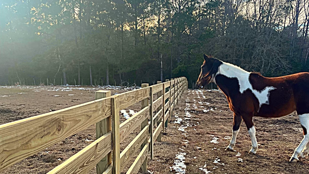 wooden farm fence repair