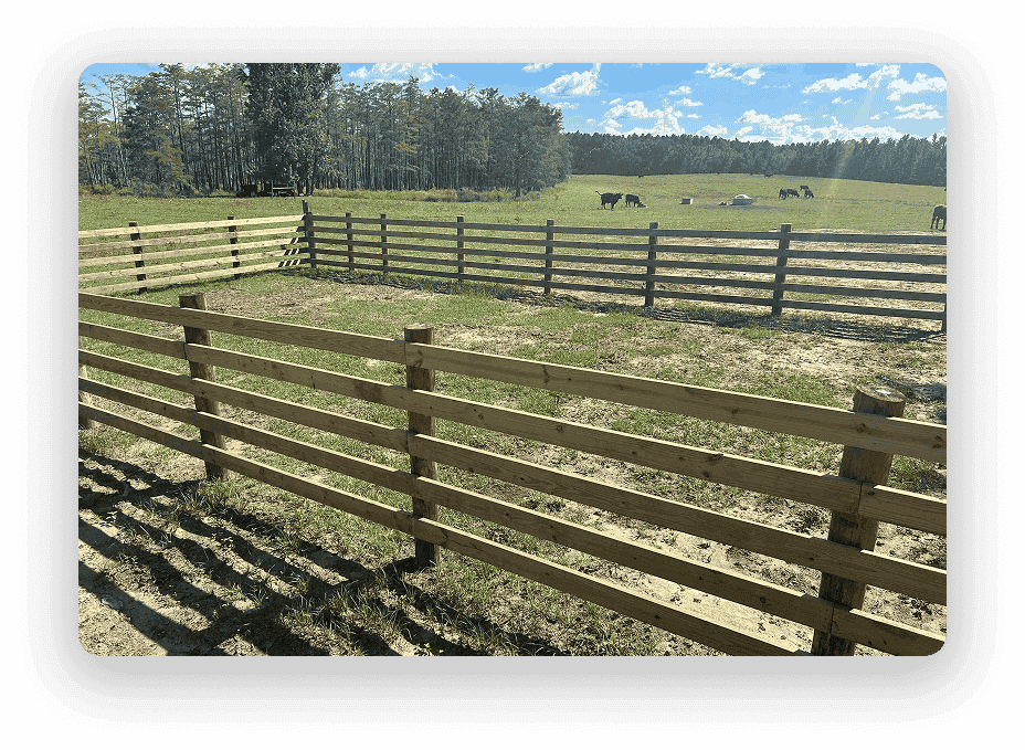 Cattle Fence Installation - Professional fencing services in Northwest Florida
